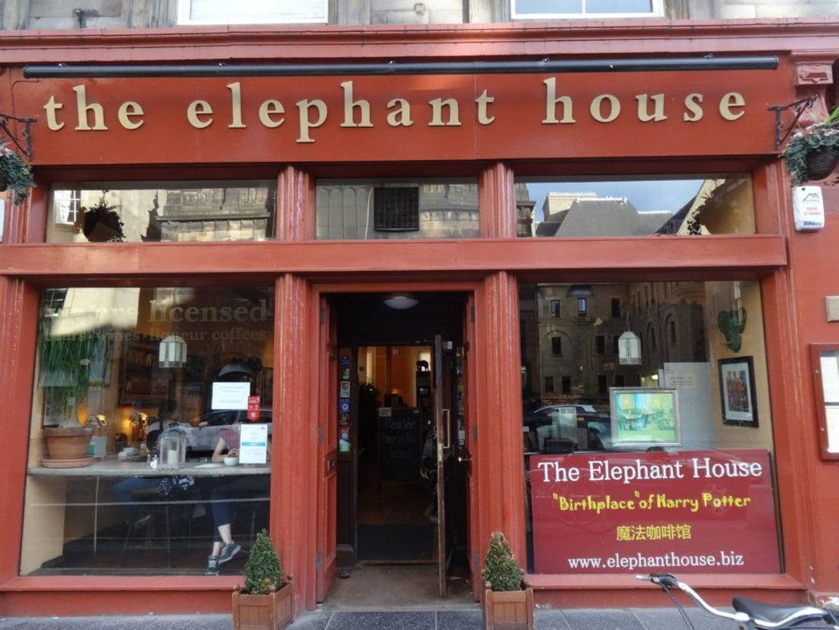 Lugar The Elephant House