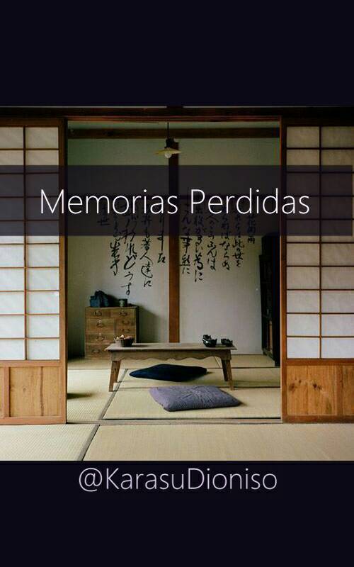 Libro Memorias Perdidas 