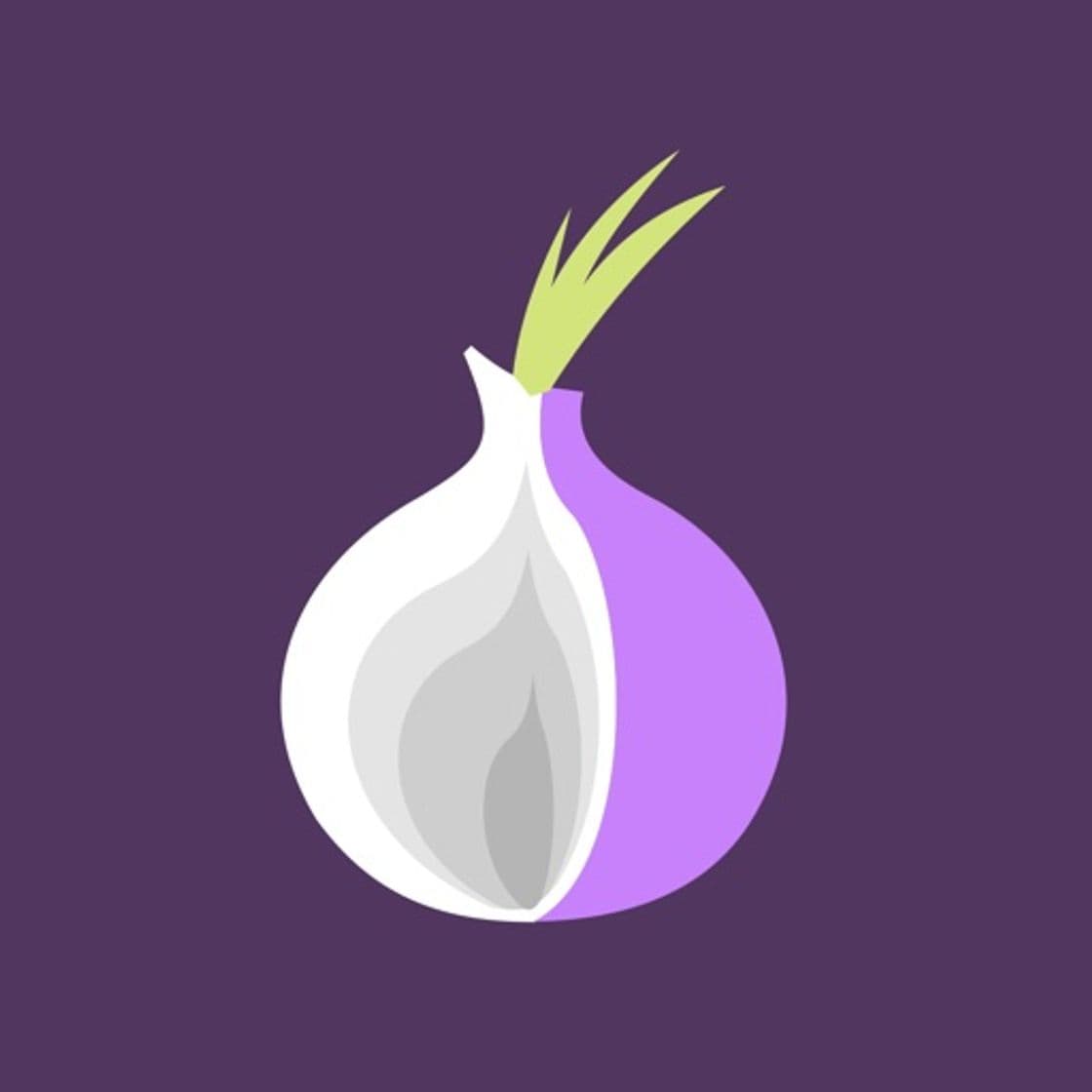 App TOR Browser Private Web