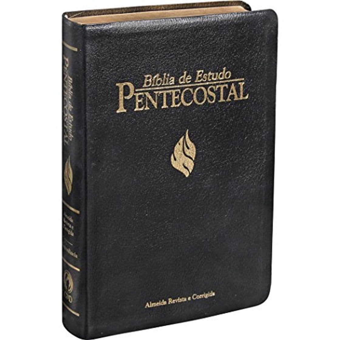 Book Bíblia de Estudo Pentecostal