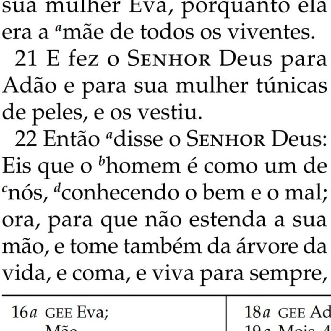 Book GÉNESIS 3:22