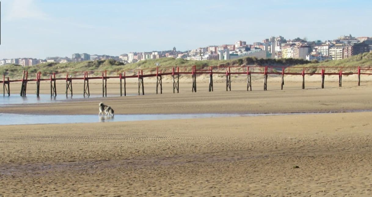 Lugar Playa El Puntal (Para Mascotas)