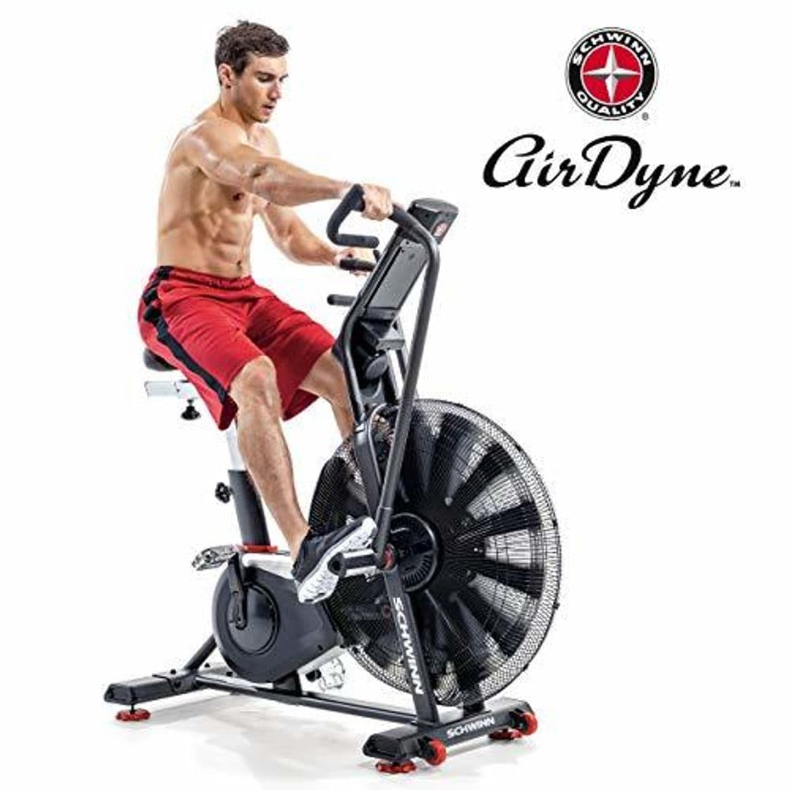 Place Schwinn - Bicicleta Estática y Spinning  Airdyne AD8-AIR Bike Pro-Cardio-Training