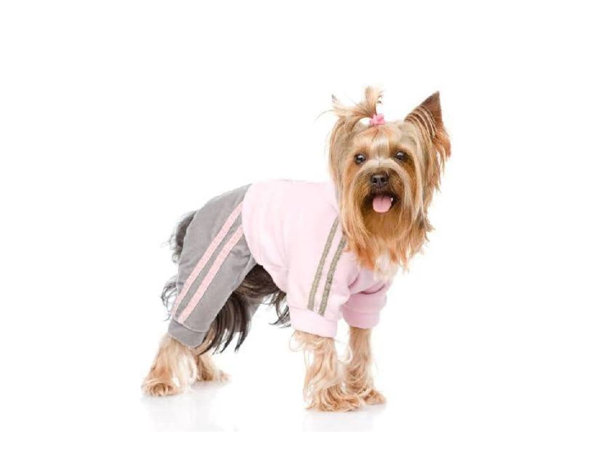 Producto Roupas para Cães 