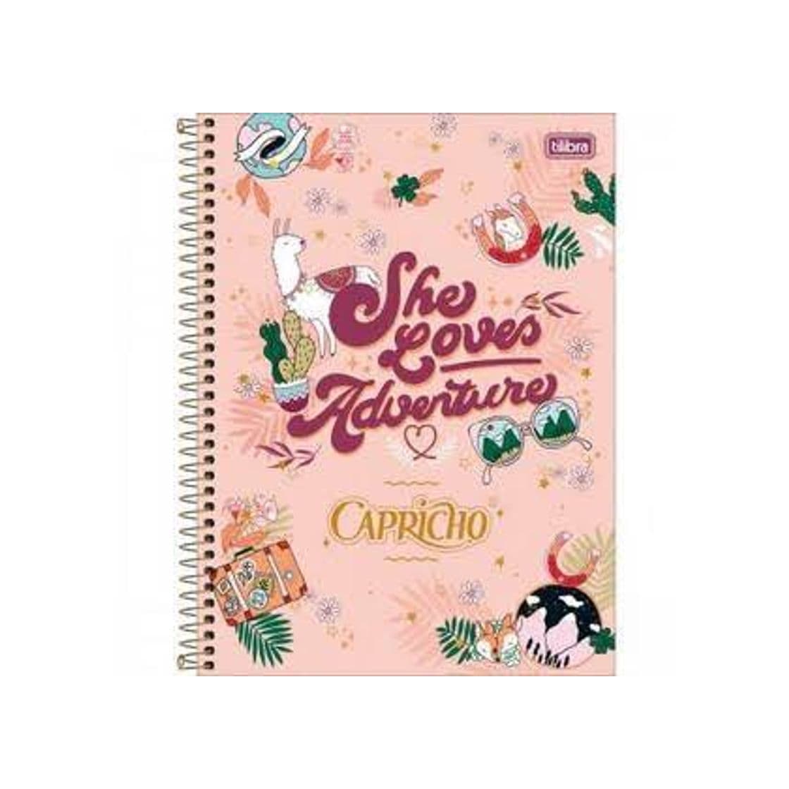 Producto Caderno Universitário 