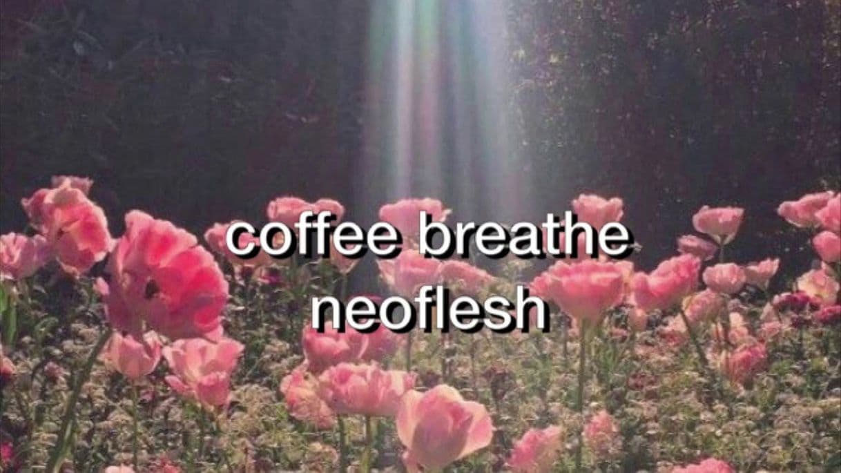 Canción neoflesh - coffee breath (Subtítulada al español) ||Lyrics|| - YouTube