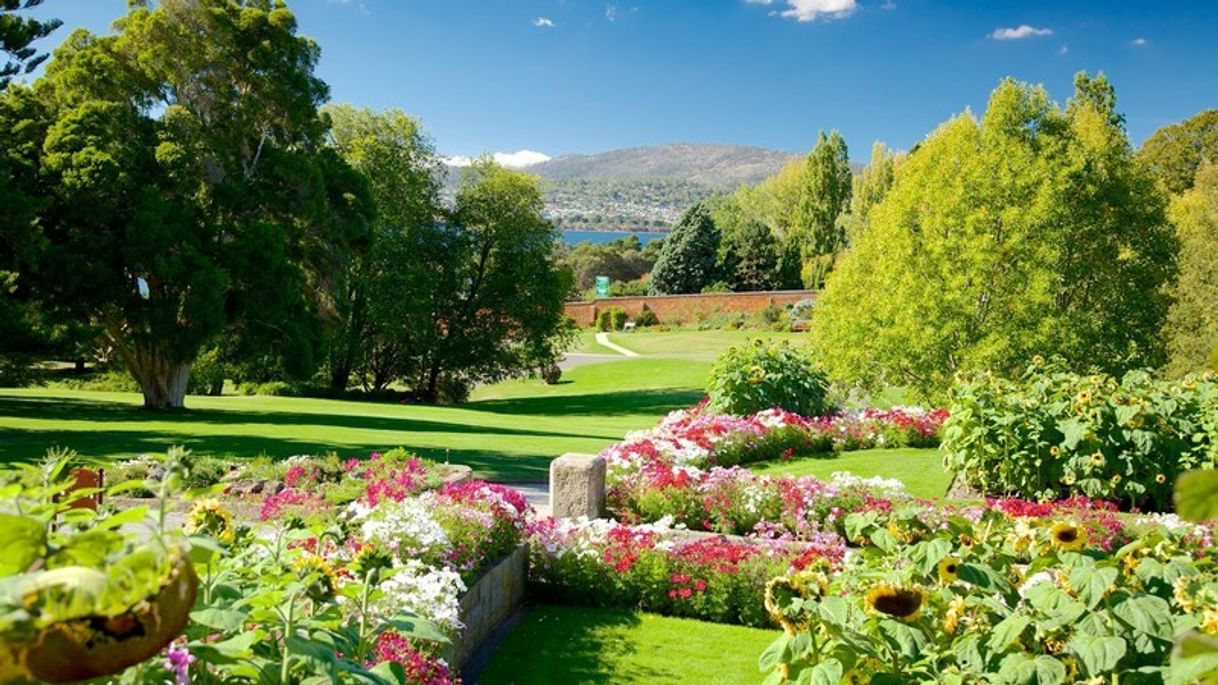 Lugar Royal Tasmanian Botanical Gardens