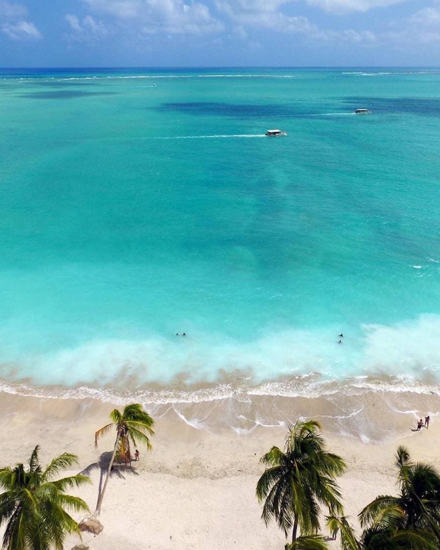 Lugar Alagoas, Maragogi, Caribe Brasileiro