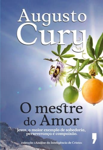 Book O Mestre do Amor