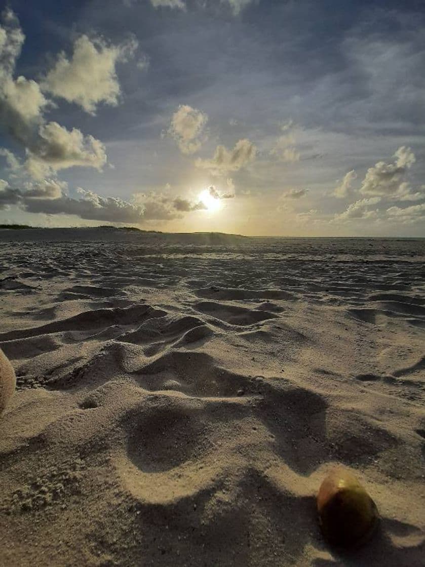 Place Ilha de Itamaracá