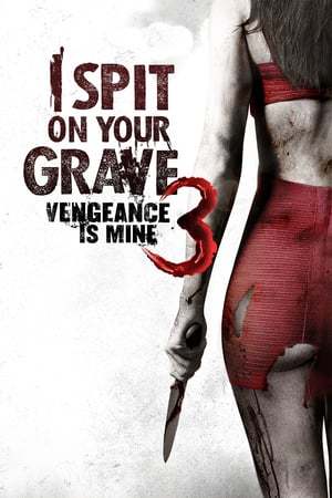 Movie I Spit on Your Grave III: Vengeance is Mine