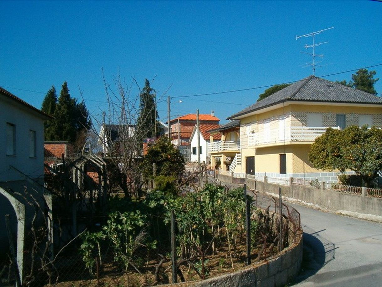 Place Lajeosa do Dão