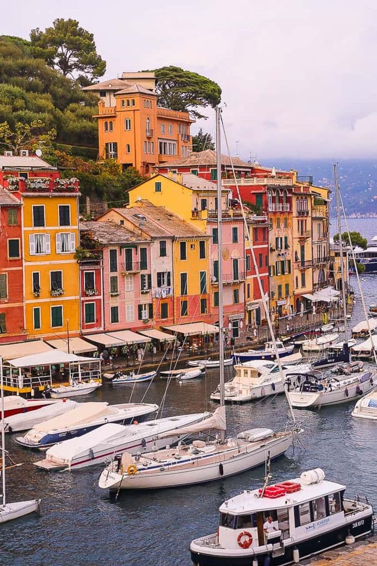 Place Portofino