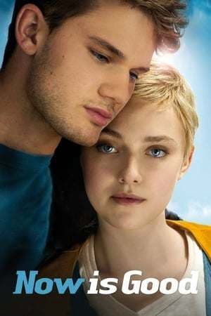 Movie Now Is Good