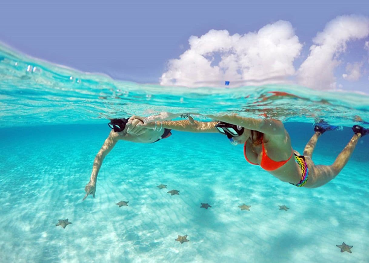 Lugar Snorkel El Cielo Cozumel