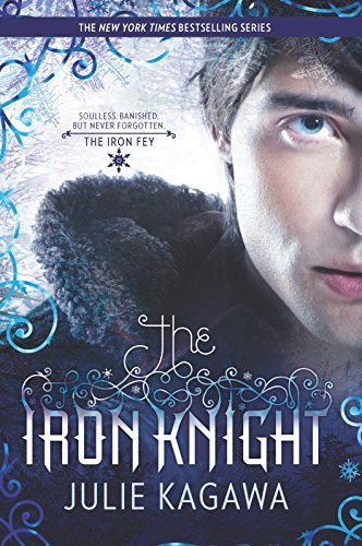 Book The iron knight