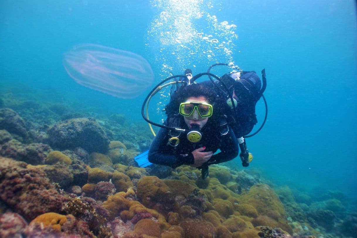 Lugar Mergulho em Arraial do Cabo