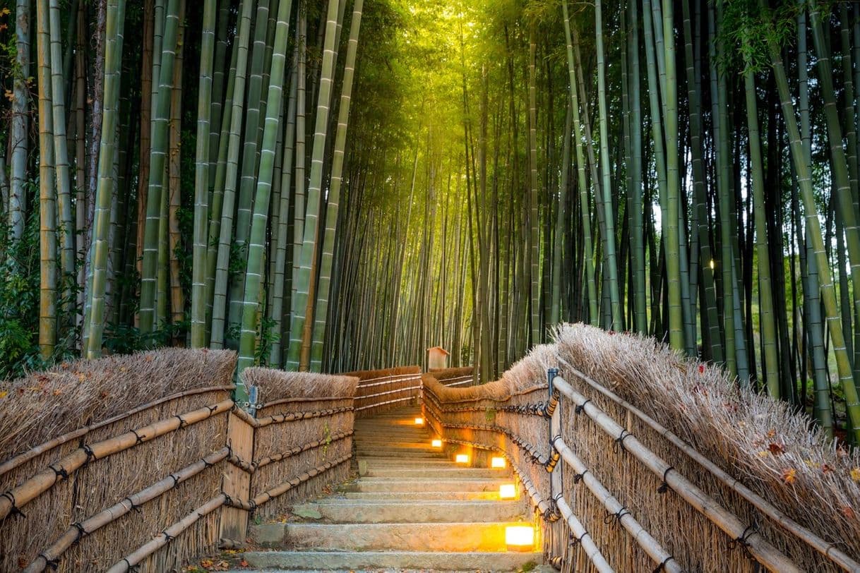 Lugar Arashiyama Bamboo Forest