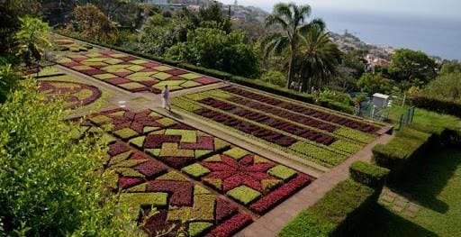 Place Jardín Botánico de Madeira