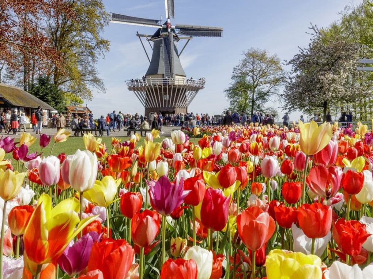 Place Keukenhof