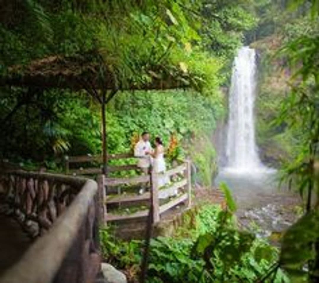 Lugar La Paz Waterfall Gardens Nature Park