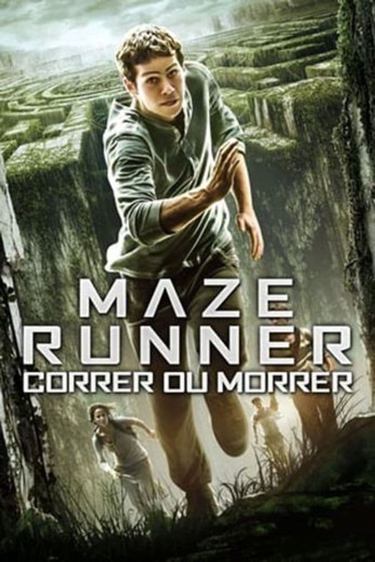 Película The Maze Runner