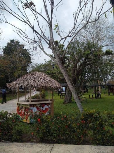 Place Parque Temático Takilhsukut