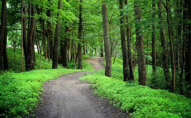 Lugar Parque Ecologico Tiete