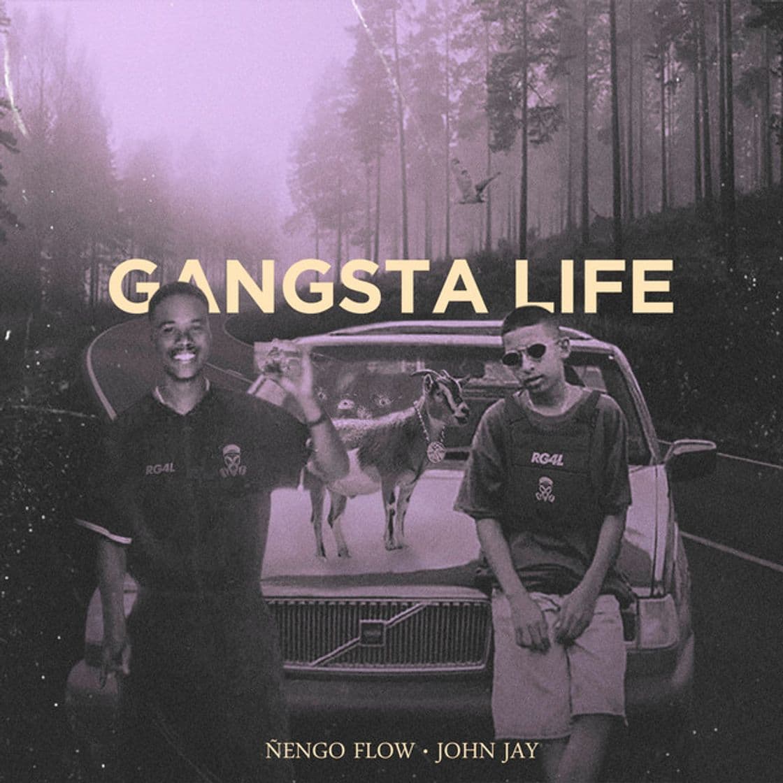 Canción Gangsta Life