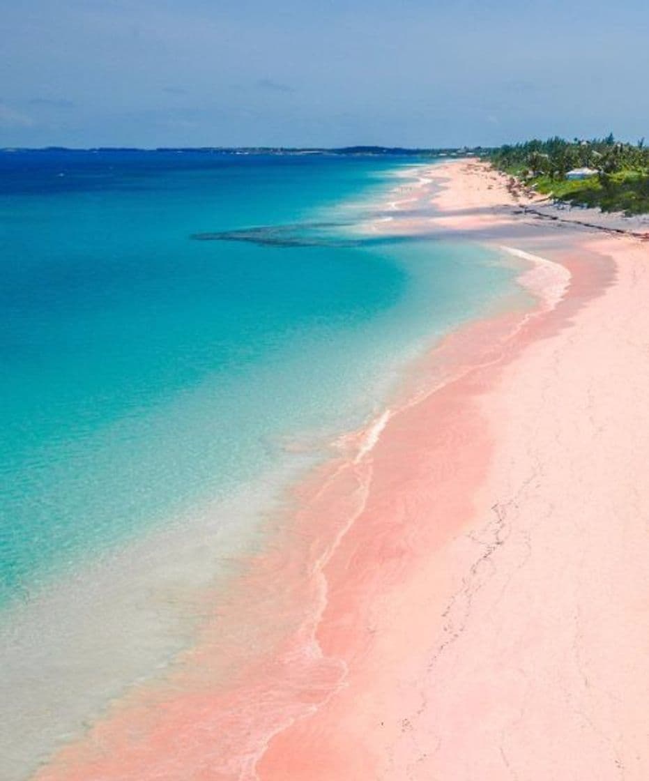 Lugar Pink Sands Beach