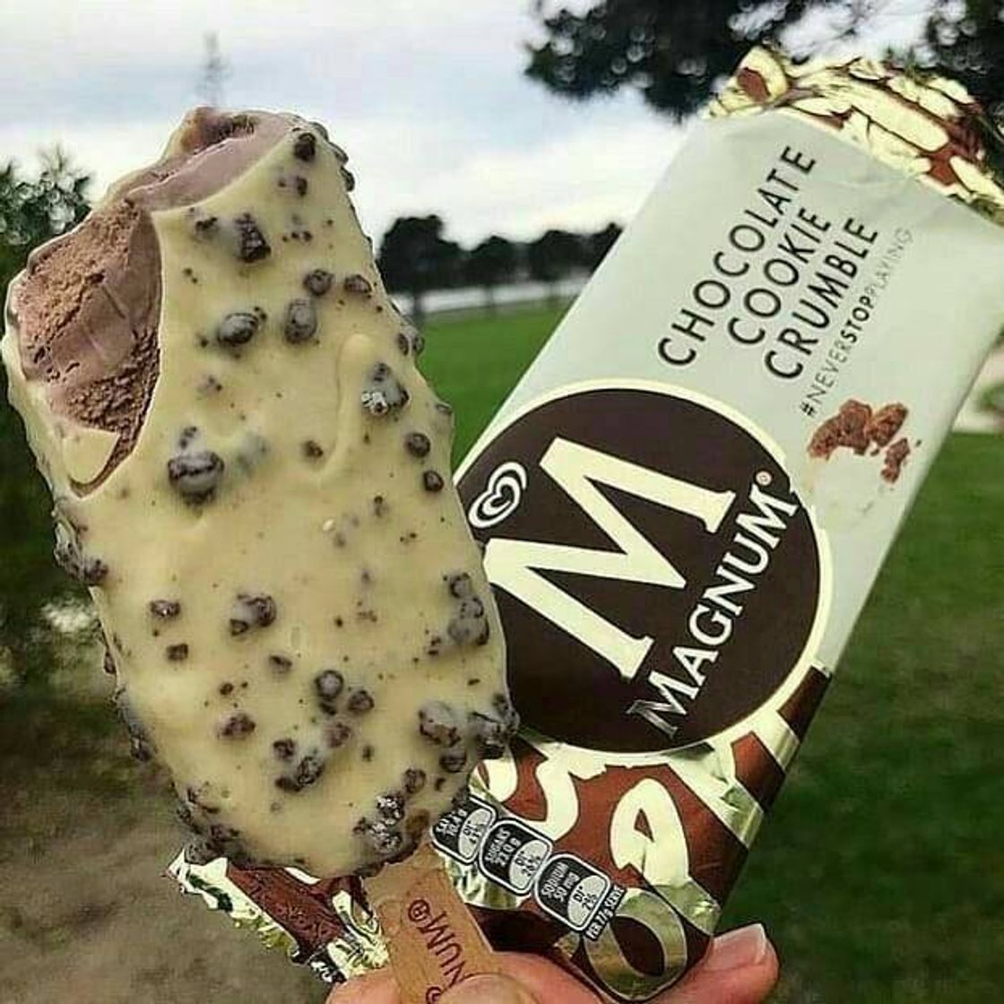 Moda •magnum cookie•