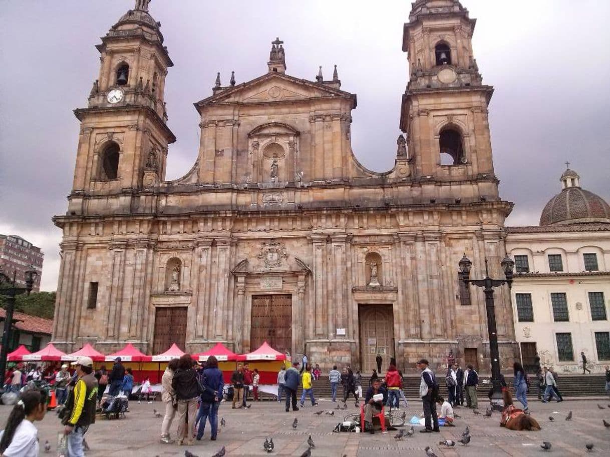 Lugar Catedral Primada de Colombia