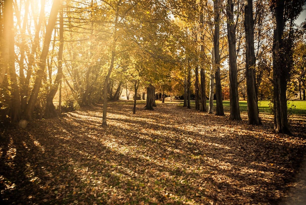 Lugar Parc del Valira