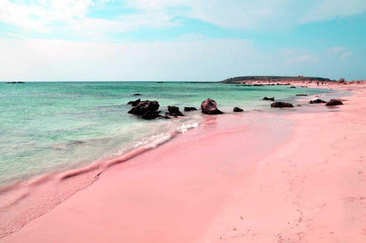 Place Pink Sand Beach