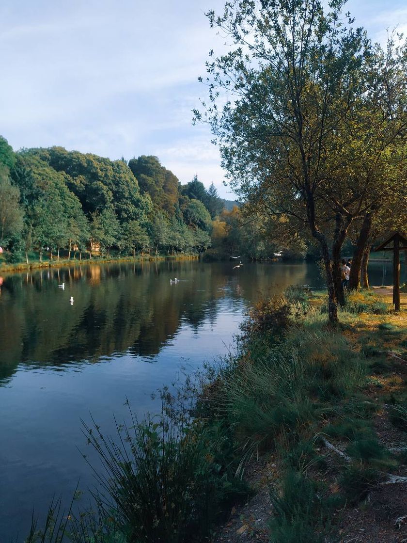 Place Lago Castiñeiras