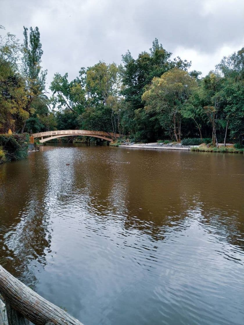 Lugar Parque Dom Pedro Infante - City Park