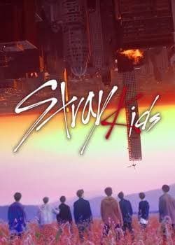 Serie Programa de supervivencia stray kids