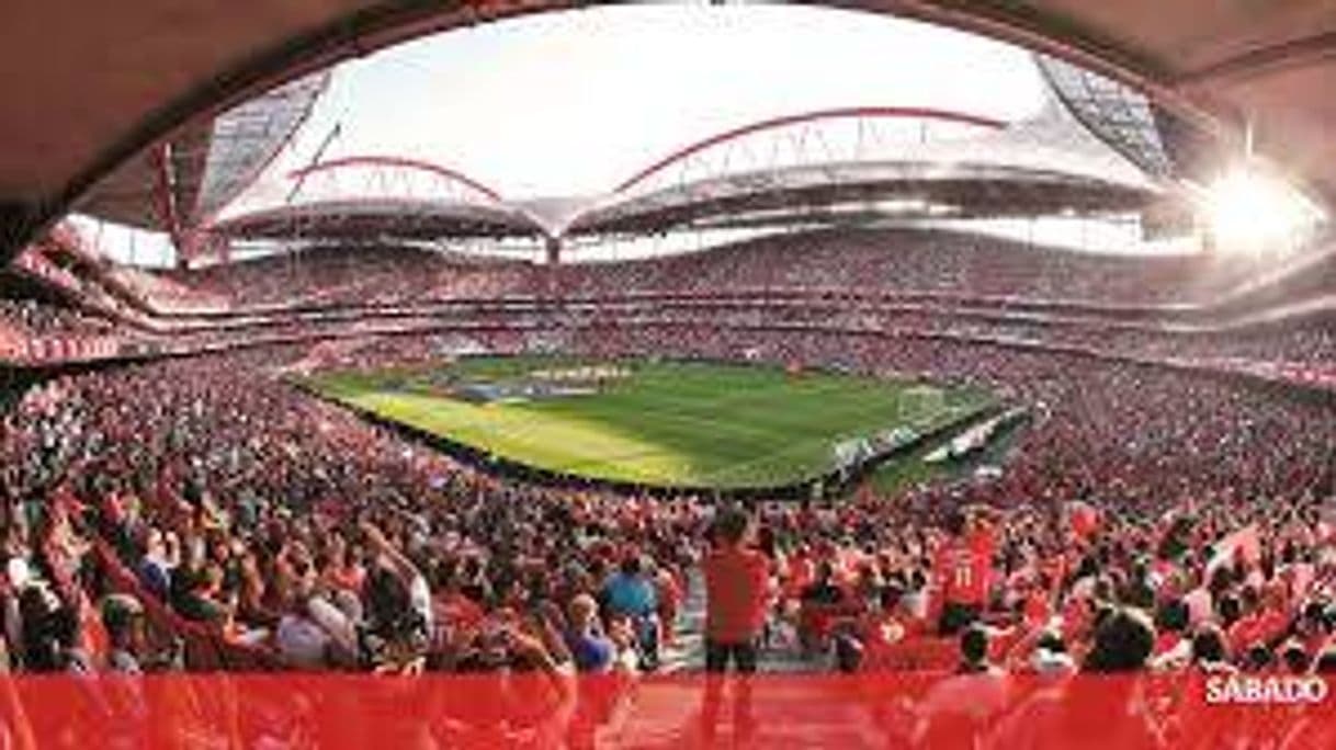 Moda SL Benfica: Site Oficial do Sport Lisboa e Benfica