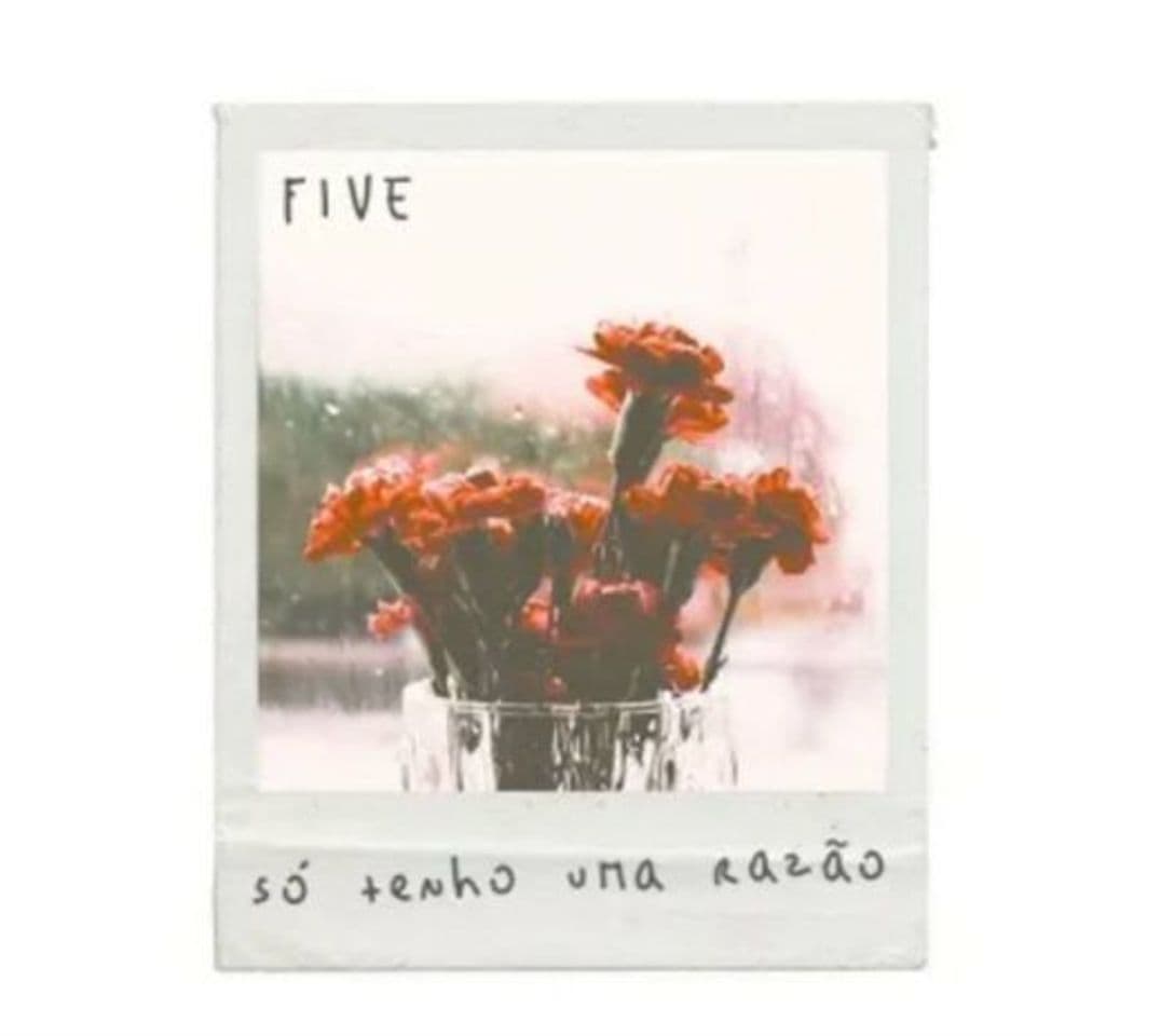 Fashion FIVE - Só tenho uma razão