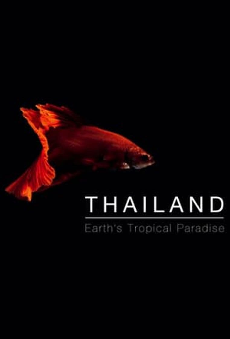 Serie Wild Thailand