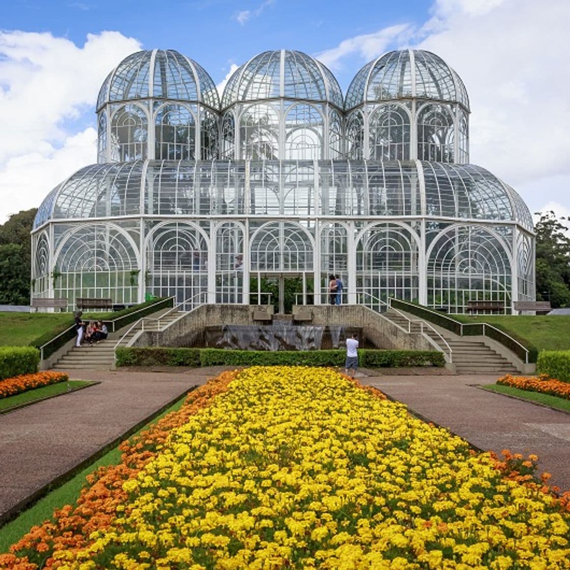 Lugar Jardim botânico 