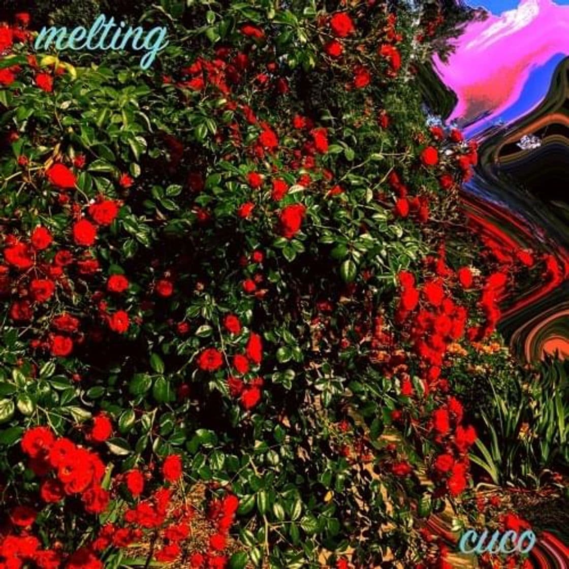 Music Melting - Cuco