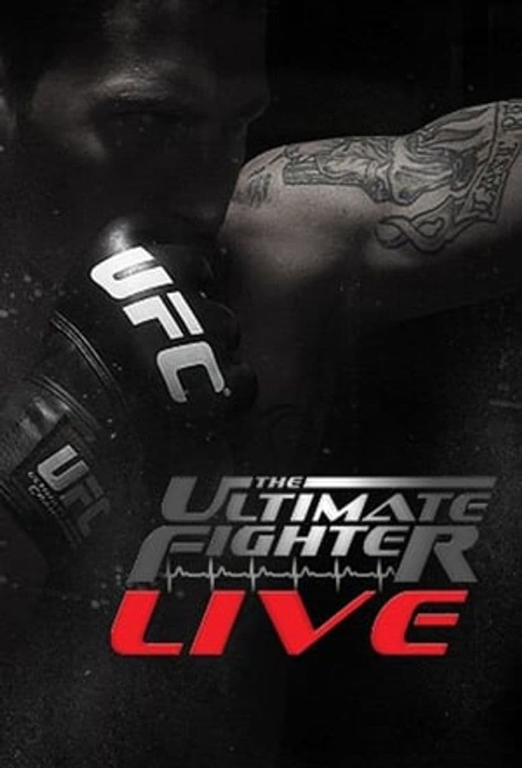 Serie The Ultimate Fighter (2014)