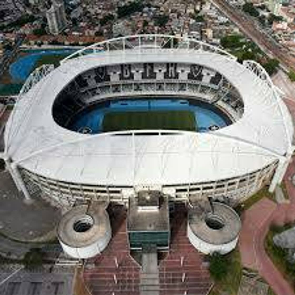 Lugar Estádio Olímpico Nilton Santos