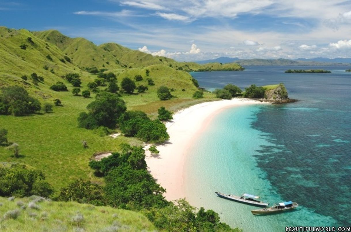 Place Komodo National Park