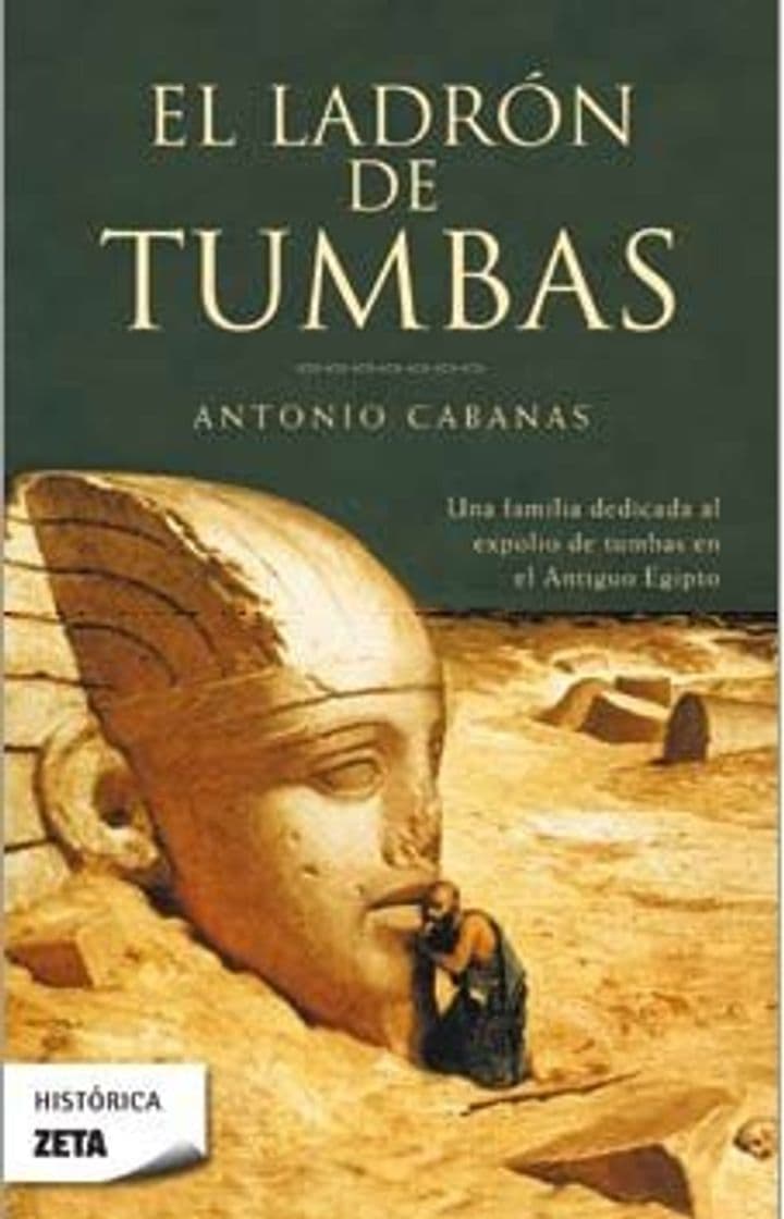 Libro El ladrón de tumbas