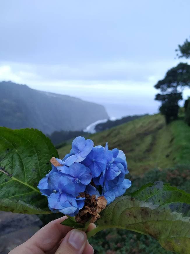 Lugar São Miguel Island