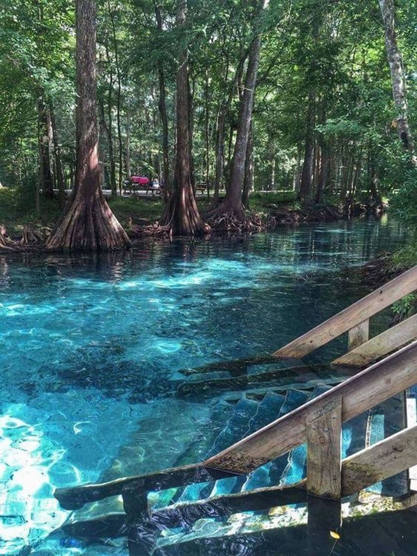 Place Ginnie Springs