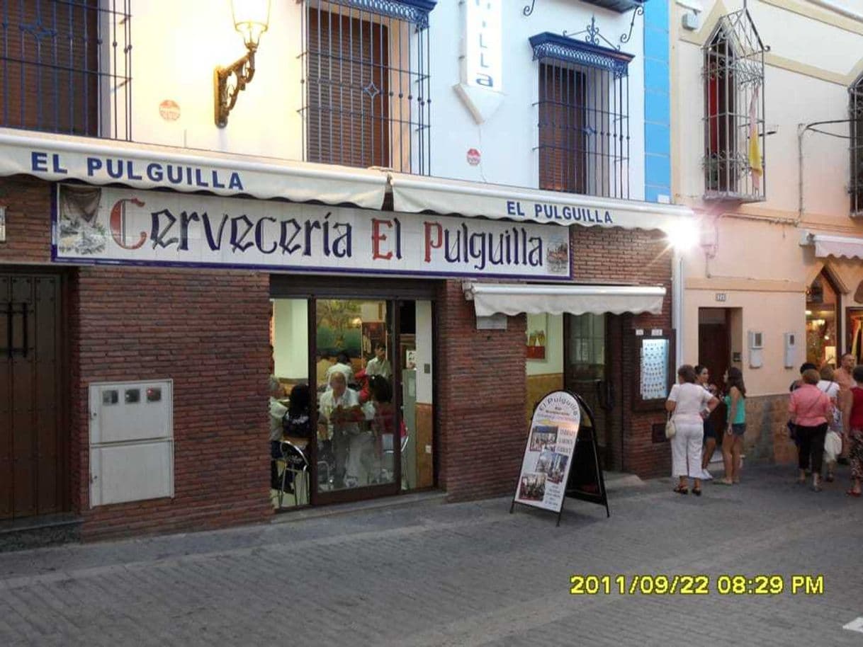 Restaurantes El Pulguilla