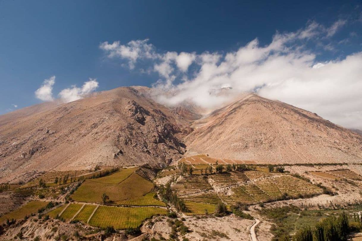 Place Valle del Elqui